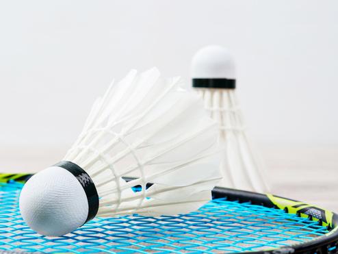 Zwei Federbälle auf einem Badmintonschläger mit blauer Saite, unscharfer Hintergrund.